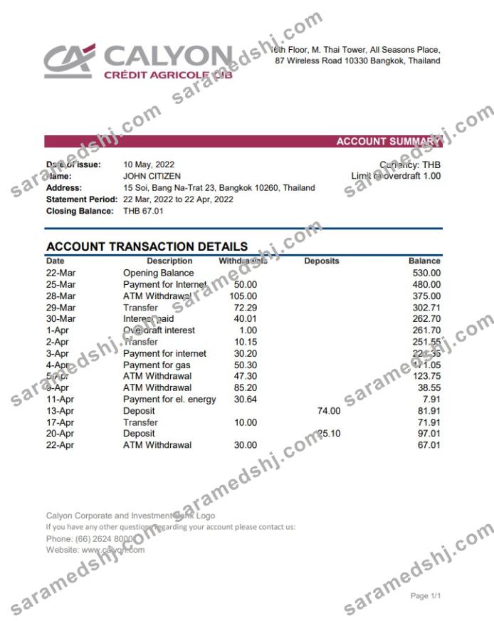 Thailand Calyon bank statement xls